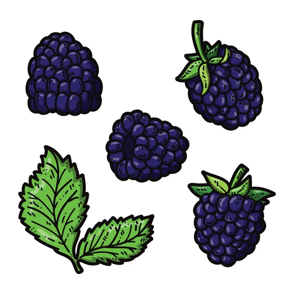 Blackberries lucu - Stok Vektor