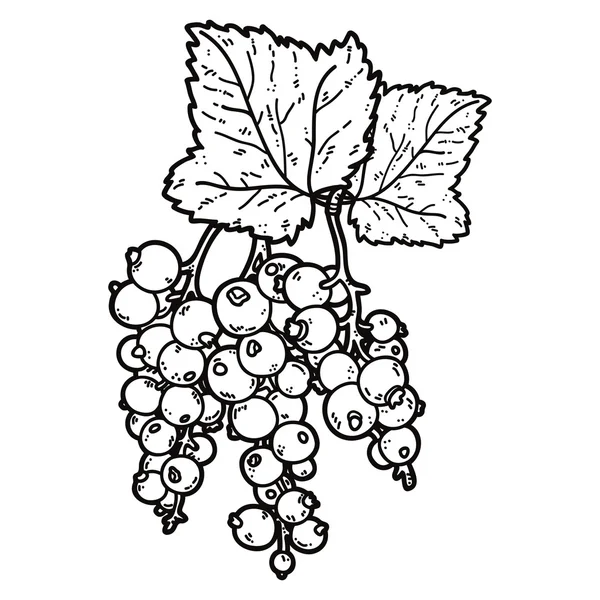 Ribes carino . — Vettoriale Stock