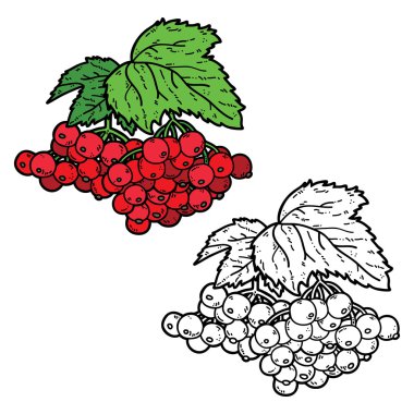 şirin Kartopu çiçeği.