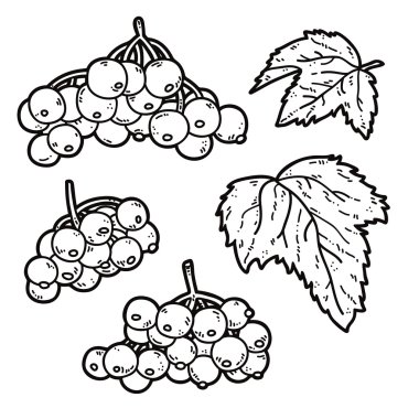 şirin Kartopu çiçeği.