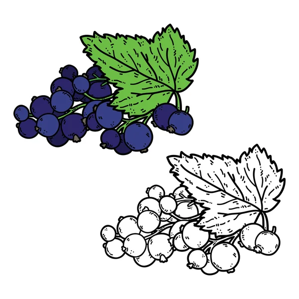 Cute black currant. — Stok Vektör