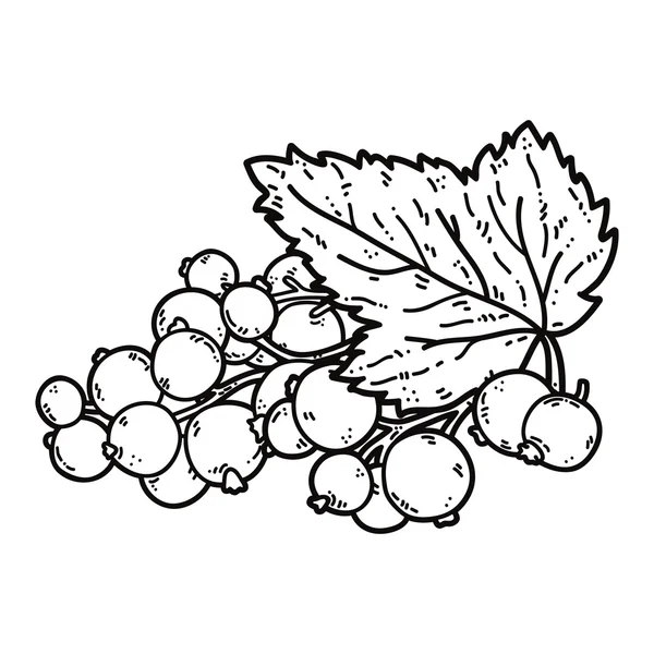 Cute black currant. — Stockvector