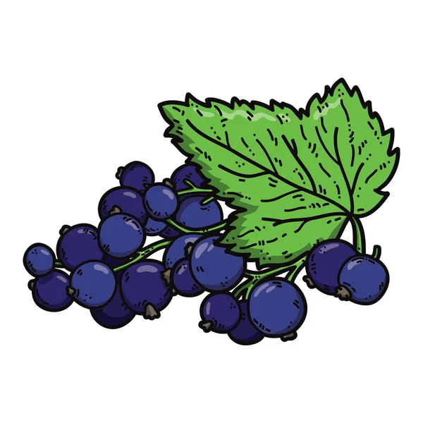 Cute black currant. — ストックベクタ