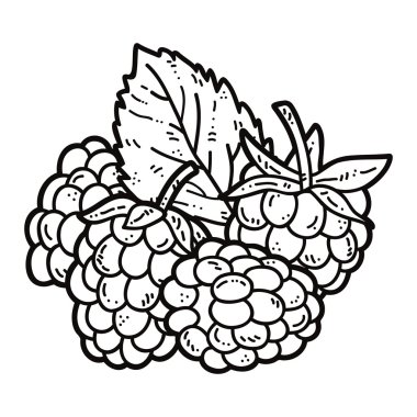 cute Raspberry
