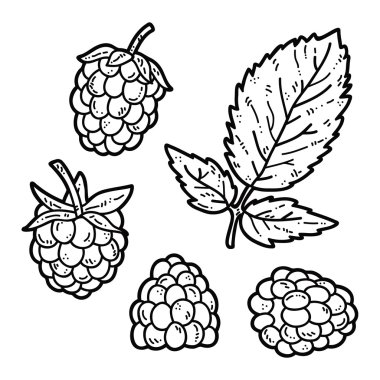 cute Raspberry.