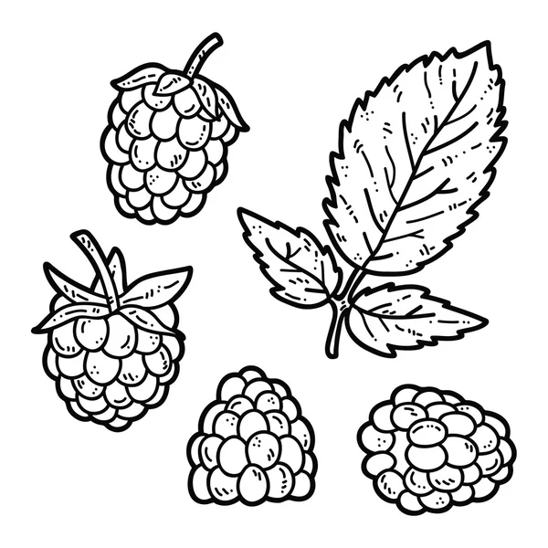 Framboise mignonne . — Image vectorielle