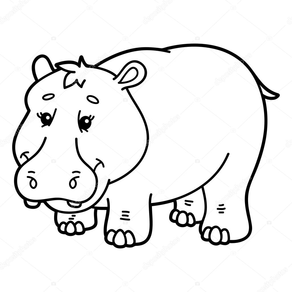 Cute hippopotamus.