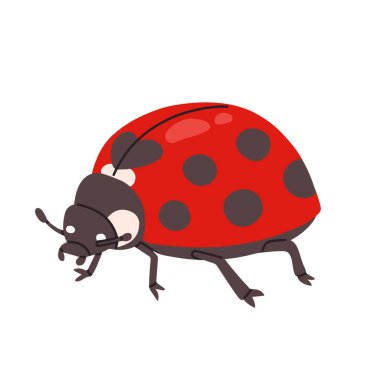 Basit bir çizgi film tarzında sevimli uğur böceği çizimi. Siyah benekli kırmızı böcek, çocuk projeleri, eğitim materyalleri, baskılar ve doğa temalı grafikler için temiz vektör tasarımı.