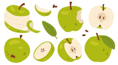 Dilimlenmiş, yarım ve çekirdek parçalı yeşil düz elma seti, kabuk ve yapraklar. Hafif arka planda izole edilmiş şirin meyve koleksiyonu. Yumuşak stilde taze gıda çizimi.