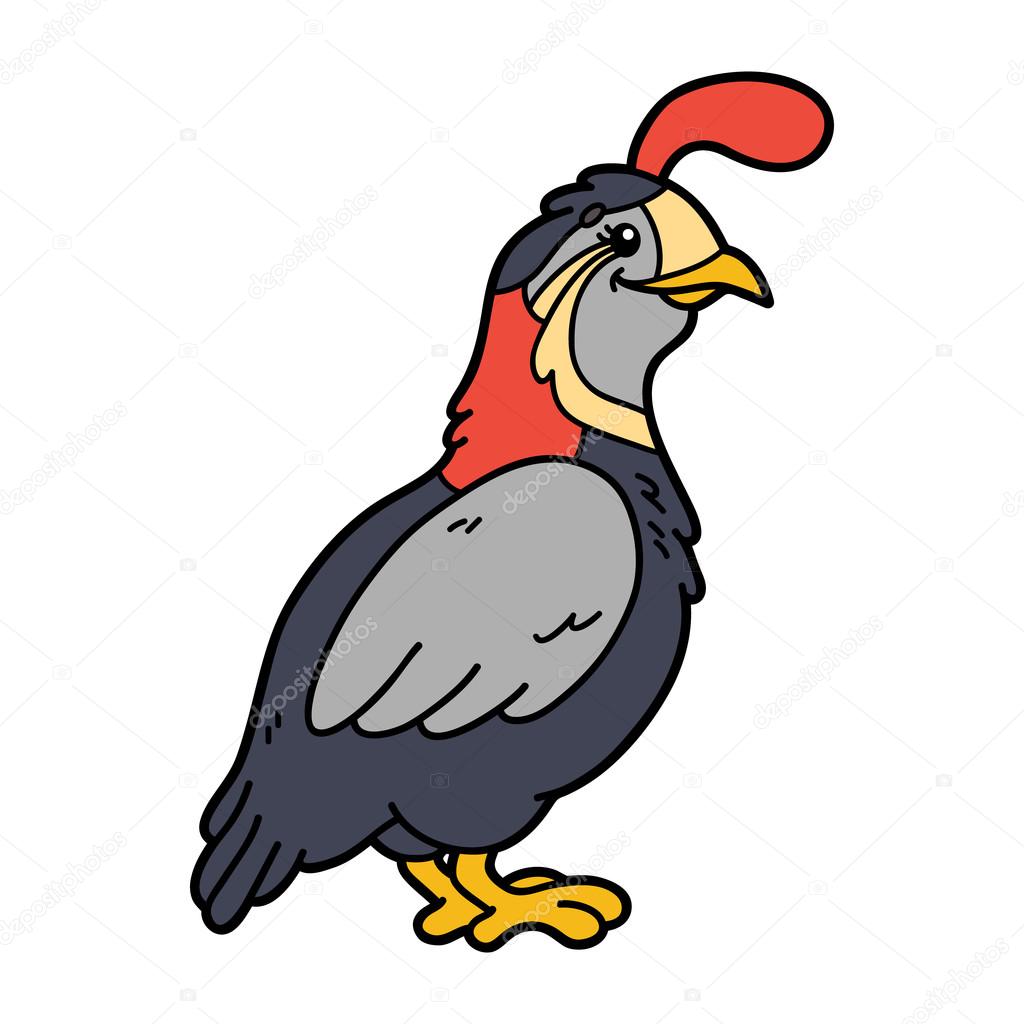 Cute cartoon quail. Stock Vector Image by ©boyusya #87403558 Cute cartoon quail. Stock Vector Image by ©boyusya #87403558