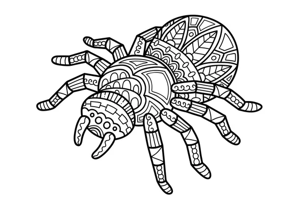 Niedliche Spinnenumrandung — Stockvektor