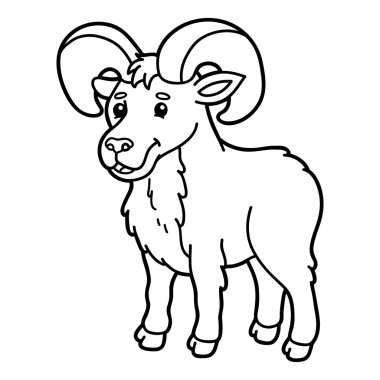 Sevimli urial anahat