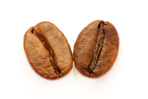 Two coffee beans on a white background. Macro shot. — Stock Photo, Image