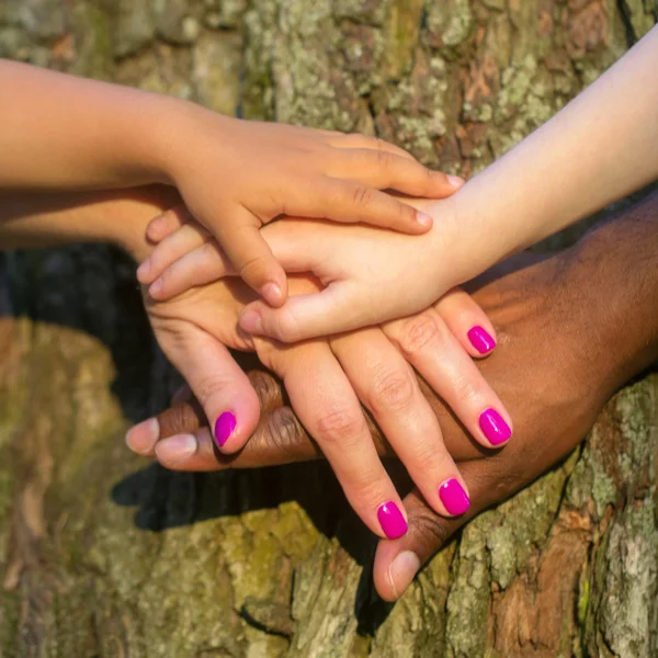 Mixed family hands on tree bark — Stock Photo, Image