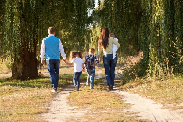 Parkta yürüyüş büyük bir aile. — Stok fotoğraf