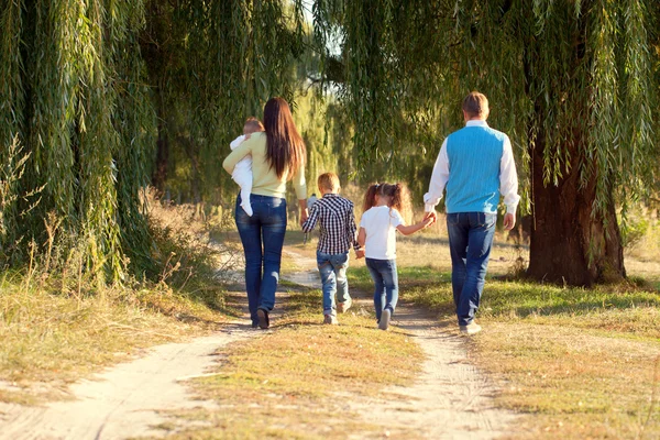 Parkta yürüyüş büyük bir aile. — Stok fotoğraf