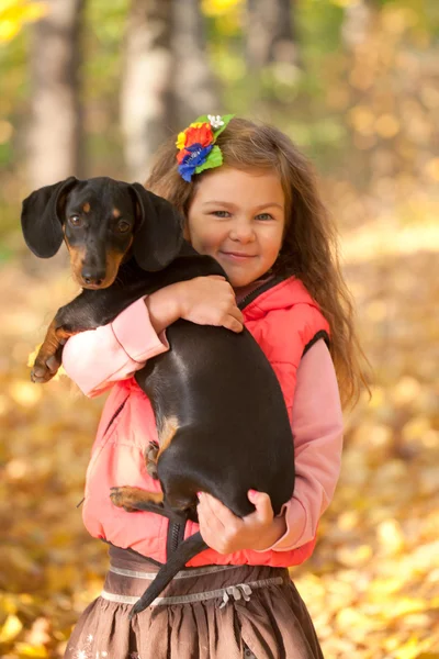 Küçük bir çocukla daksund köpek yavrusu. — Stok fotoğraf