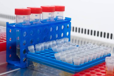 Steril laminar akış dolabında iki laboratuvar rafı ve test tüpü yan yana yerleştiriliyor..