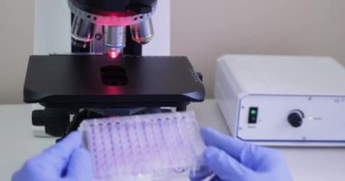 Bilim adamı mikroskop altında numunelerle birlikte bağışıklık plakası yerleştirdi. Mikroskop altındaki örnek kırmızı bir set ile aydınlatılmış..