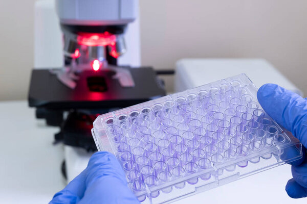 Ученый готовится проанализировать образцы в многоскважине с помощью микроскопа спереди.