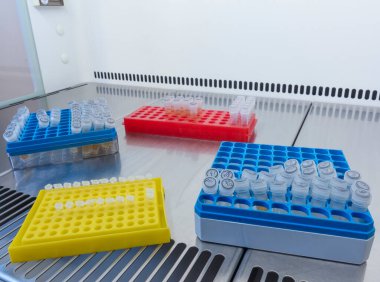 Laboratuvardaki bir çalışma istasyonundaki laboratuvar raflarında test tüpleri..