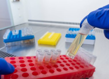 Yakın planda, bir bilim adamı küçük bir test tüpünde deneysel bir aşı ile parmaklarıyla bir test tüpü tutuyor..