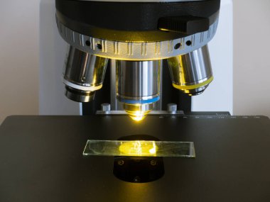 Mikroskobun büyütme hedefleri, nesne tablosunun üzerinde bir cam kaydırma, sarı bir ışık filtresi kullanılır.