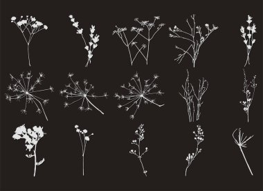 Siyah arka planda çim ve çiçek pulları..