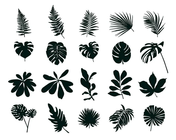 Ensemble Silhouettes Feuilles Tropicales Illustration Vectorielle — Image vectorielle