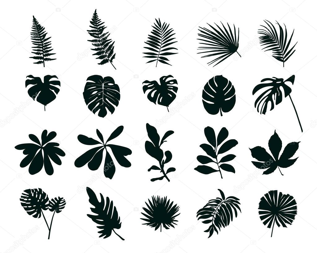 Set of silhouettes of tropical leaves. Vector illustration.
