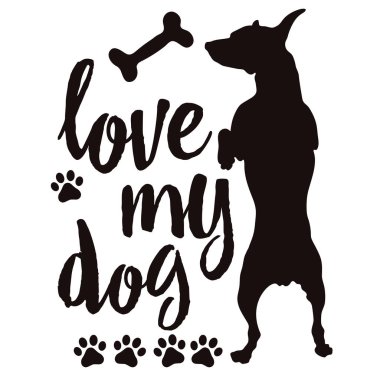 Köpeğimin arka ayakları üzerinde duran köpeğimi seviyorum..