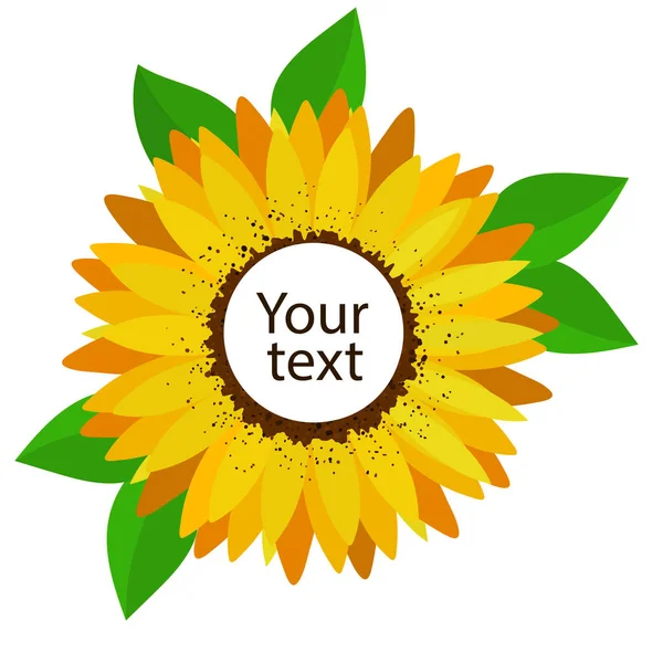 Yellow sunflower flower with empty middle for your text.