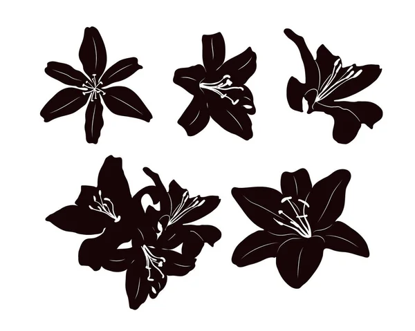 Plantillas Flores Individuales Lirio Silueta Negra Sobre Fondo Blanco — Vector de stock