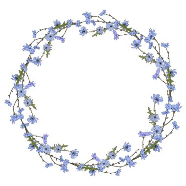 Hindiba çiçeği çelengi. Yuvarlak çiçekler. Süblimleşme tasarımı.