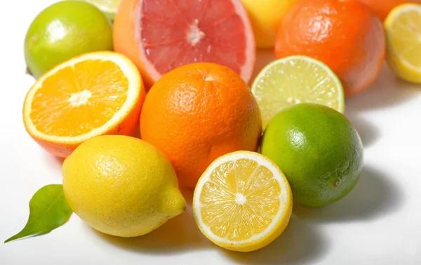 Citrusfrukter isolerade — Stockfoto