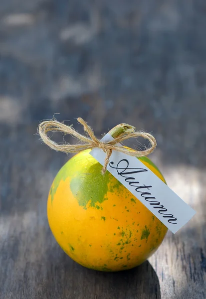 Ripe pumpkin on wooden table — Stock Photo, Image