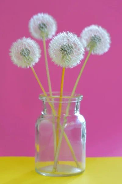 Boeket van paardebloemen in vaas — Stockfoto