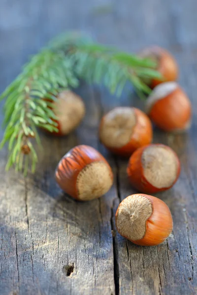 Hazelnuts on  wood table — Stock Photo, Image