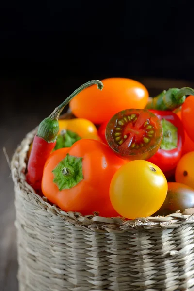 Fresh ripe vegetables tomatoes — Stock Photo, Image