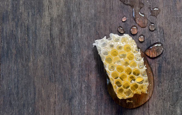 Favos de mel doces com mel isolado — Fotografia de Stock