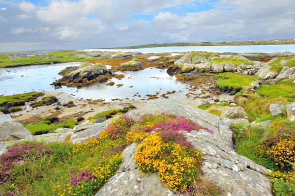 İrlanda peyzaj hdr — Stok fotoğraf