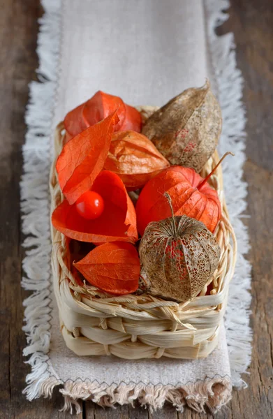 Kırmızı Physalis meyve — Stok fotoğraf