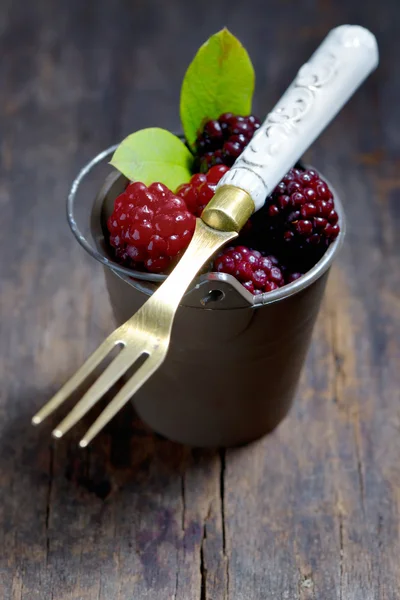 Fresh blackberries — Stock Photo, Image