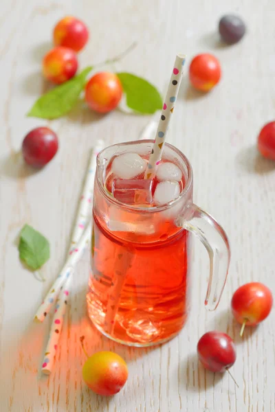 Plum compote and fresh plums with ice cubes — Stock Photo, Image