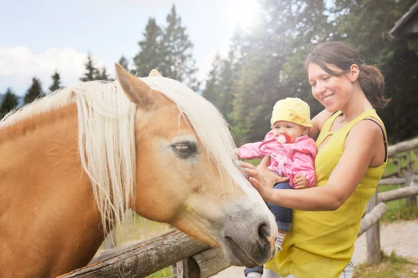 Mom with her daughter having fun at farm ranch and meeting a horse  - Pet therapy concept in countryside with horse in the educational farm - Horse therapy concept with children