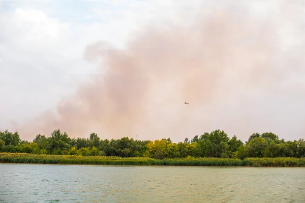 Smoke on the other side of the river. A fire across the river. A bird flies over the river against the background of smoke