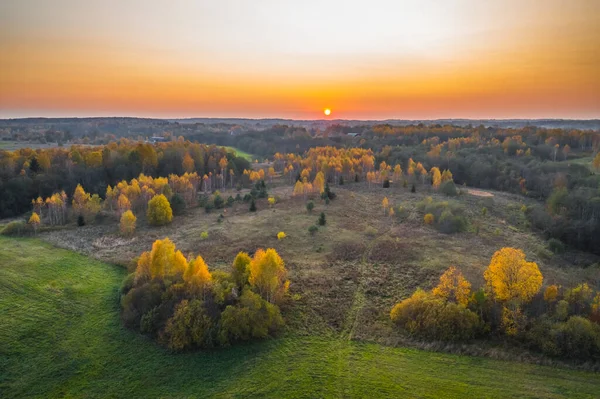 Letecký pohled na barevný les na podzim. Krásný podzimní les se žlutými stromy. Venkovní, listy. — Stock fotografie