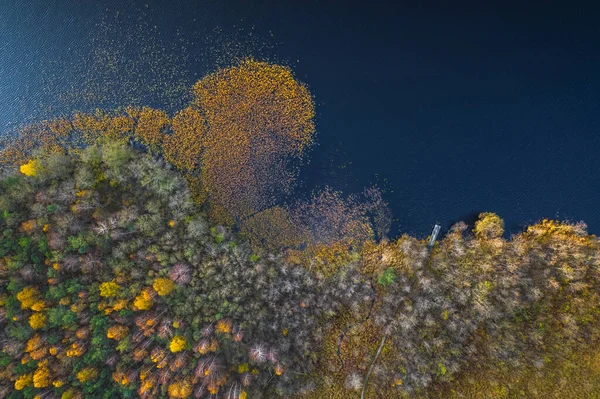 Luftaufnahme von blauem See und grünen Wäldern — Stockfoto