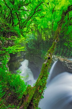 Gachedili Kanyonu 'nda Şelale, Gürcistan