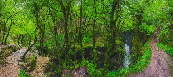 Potok v kaňonu Gachedili, Georgia, divoké místo — Stock fotografie